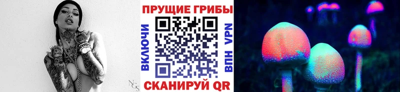 как найти закладки  MEGA рабочий сайт  Псилоцибиновые грибы Magic Shrooms  Сысерть 
